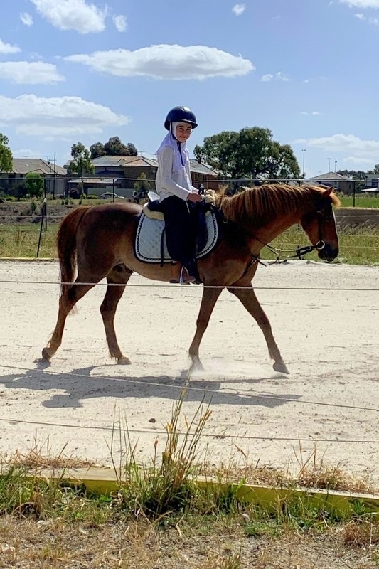 Equestrian Program Back in Action